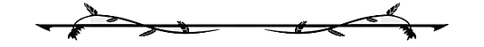pngtree-decorative-line-divider-flower-vine-png-image_5323524.png-3.jpeg