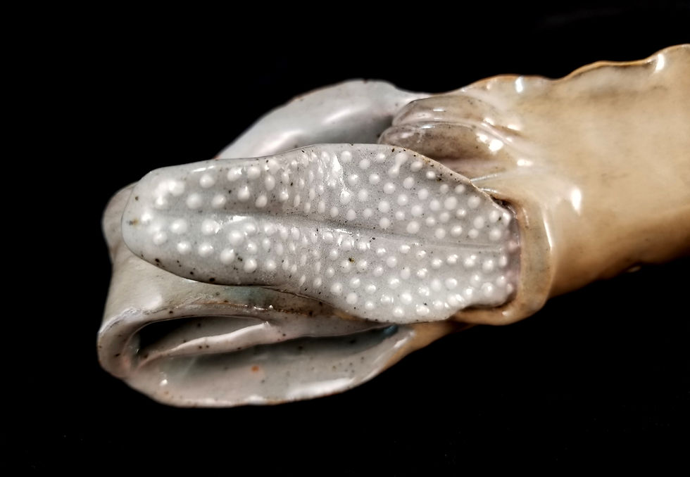 Thumbnail: "The Way It's Always Been" by Shelly Denning