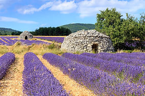 Deux-Bories-Ferrassieres.jpg