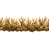 ChatGPT Image Oct 26, 2025, 08_05_50 PM_