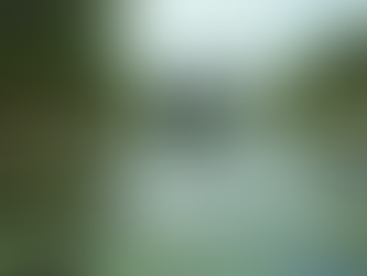 Latest Fishing Reports in Louisiana