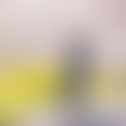 「お子さまのご入学準備はお済みですか?入学写真は早めの予約がカギ！桜ロケで特別な一枚を」