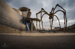 The Guggenheim Spider, Bilbao
