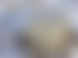 Septic with snow around it