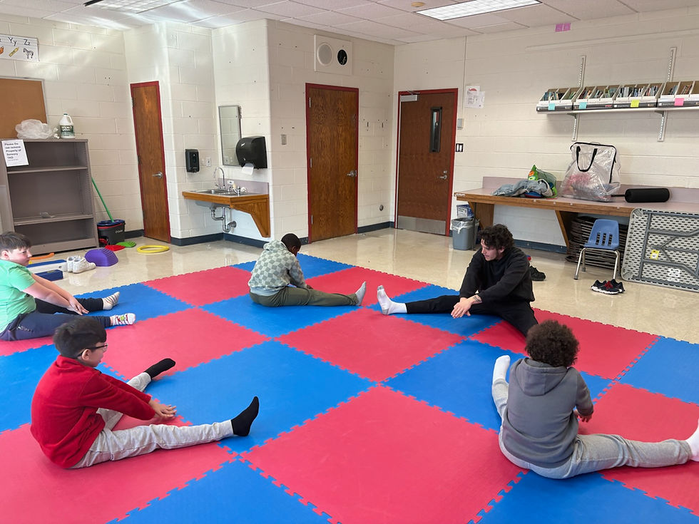 Taekwondo at school