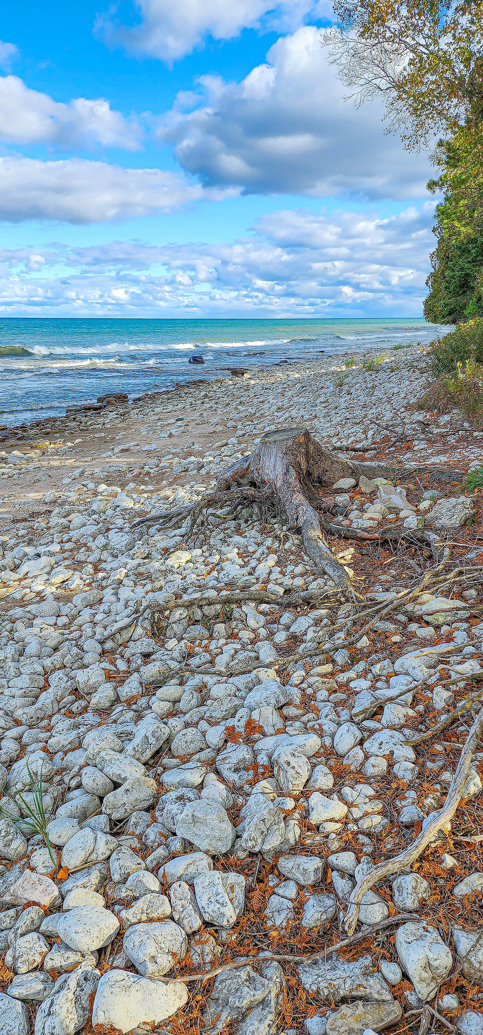 Shore