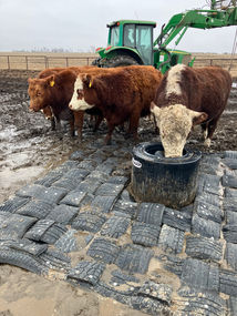 Feeder Mats