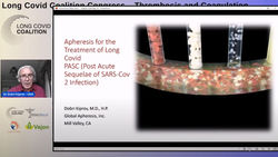 Screenshot 2022-08-24 160239