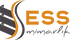 ESS LOGO 2020.png