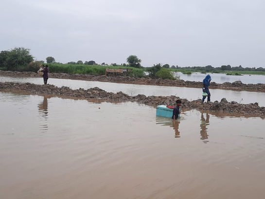 Devastating Floods