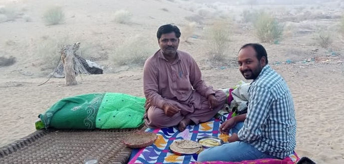 It's cotton-picking time.