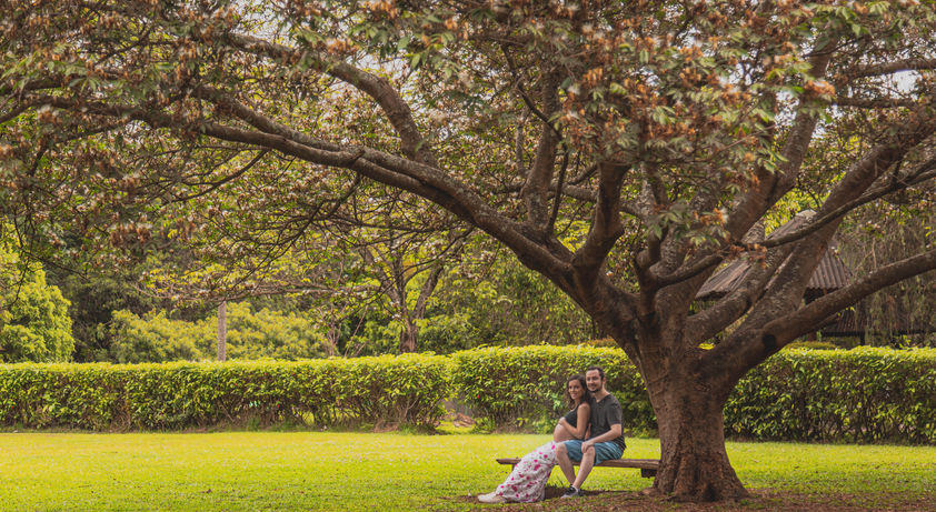 Arthur - Camila e David