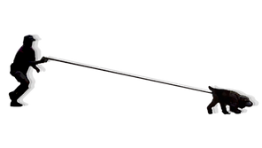 名称未設定 (800 × 450 px).png