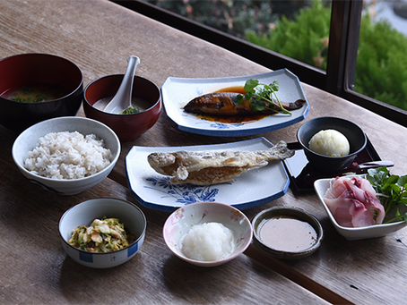コース料理を掲載いたしました