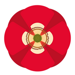 coquelicot graphicx1.png