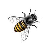 abeille.png