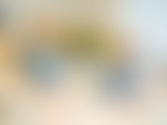 今日のぺんぎんクラス