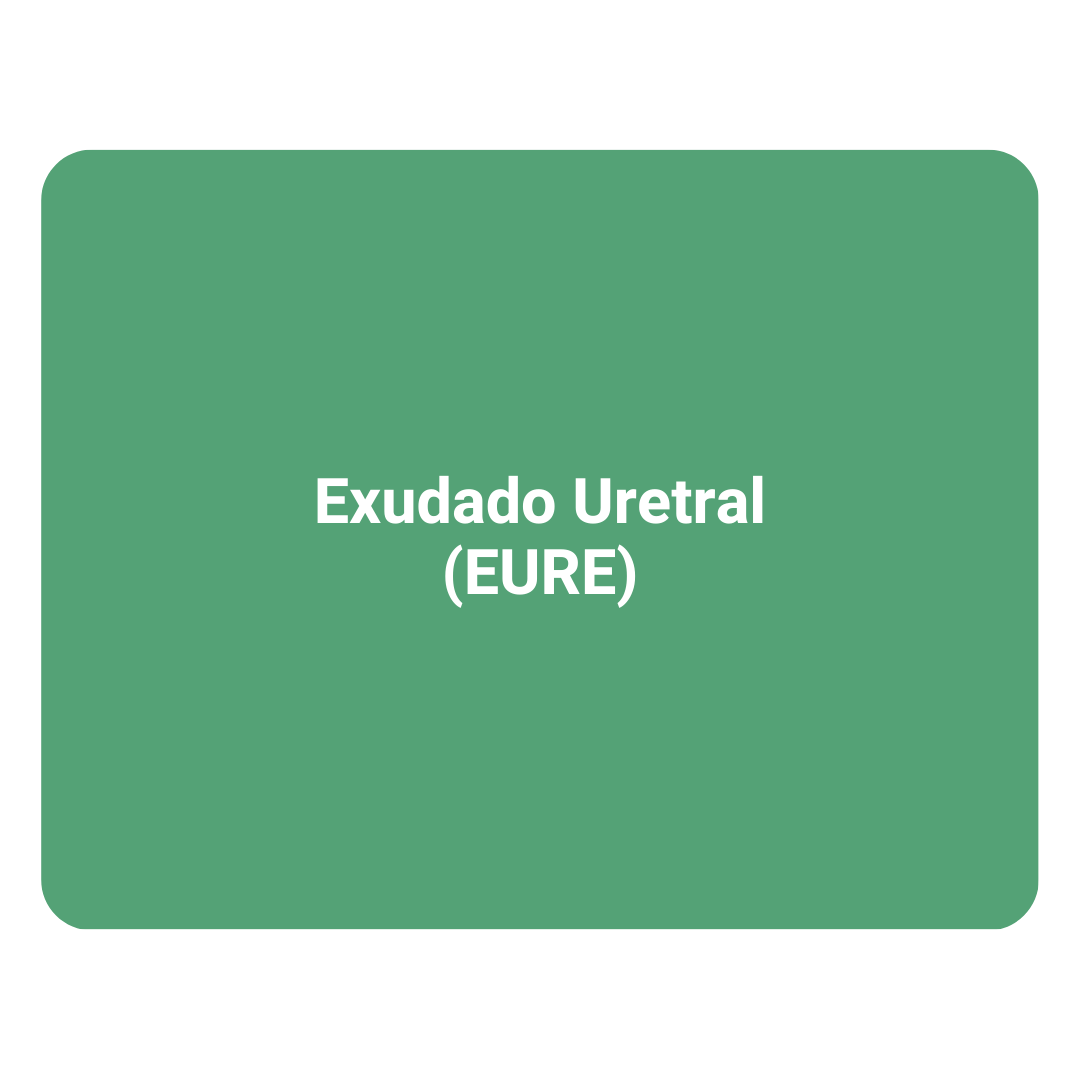 Exudado Uretral
