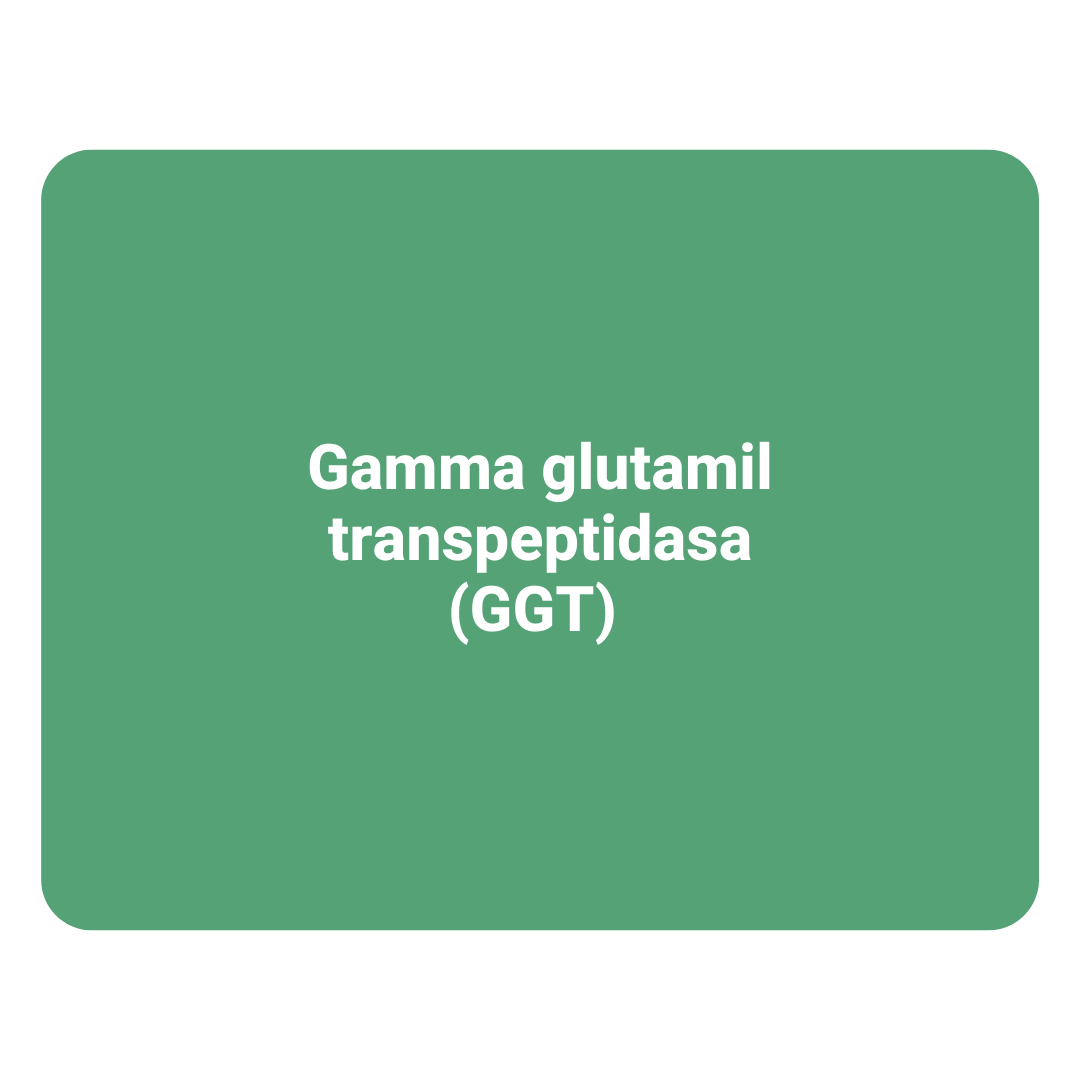 Gamma Glutamil Transpeptidasa
