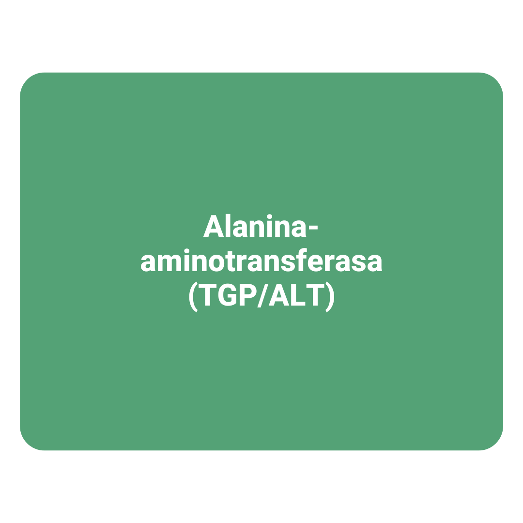 Alanina-Aminotransferasa