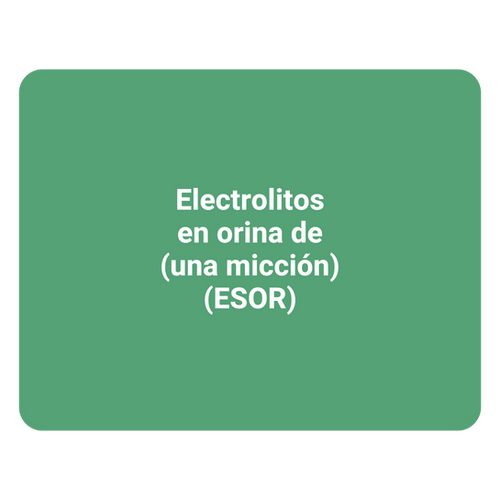 Que Es Electrolitos En Orina