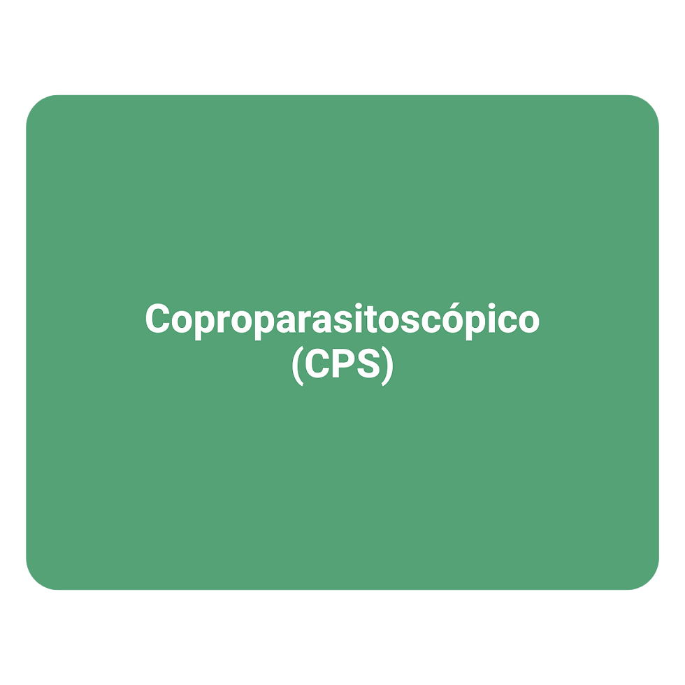 Coproparasitoscópico