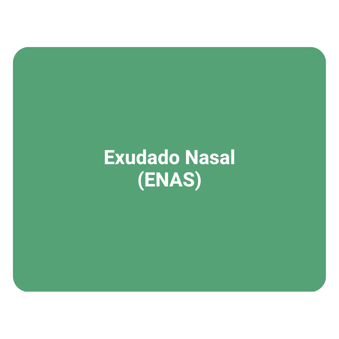 Exudado Nasal