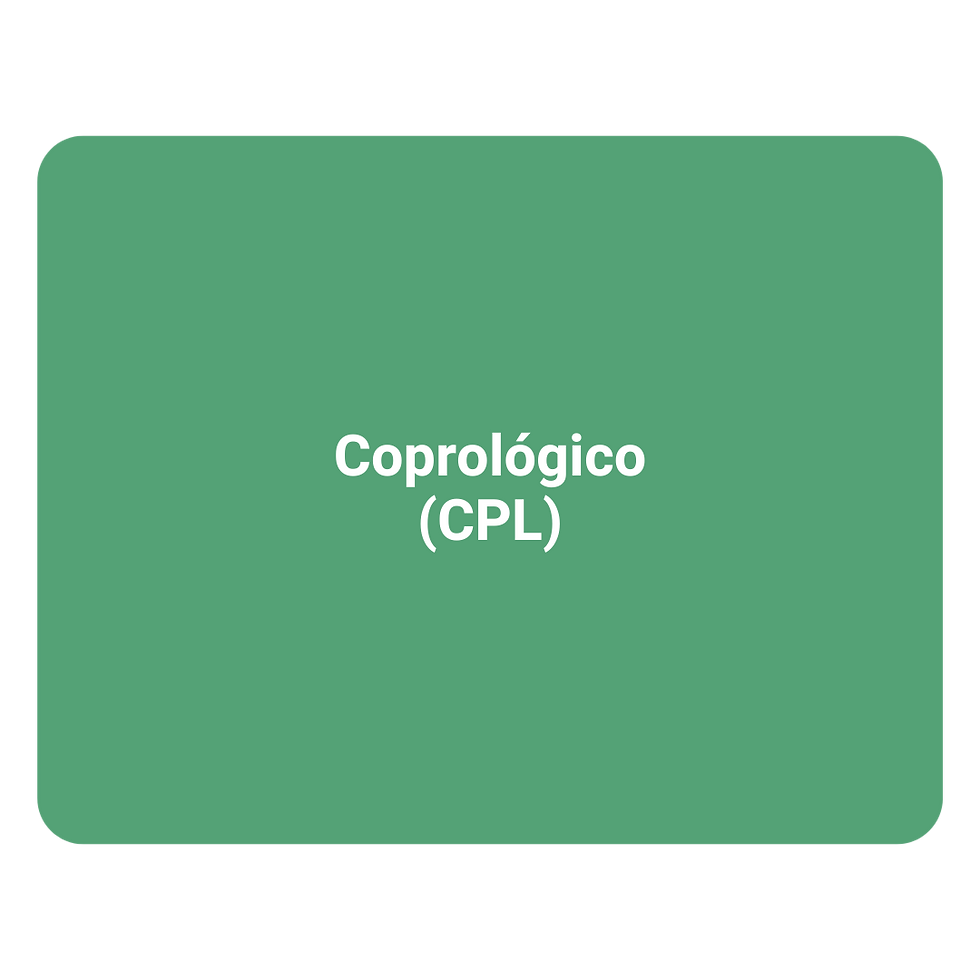 Coprológico