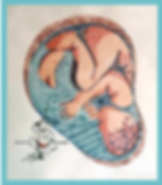 2019-11-13 (4).png