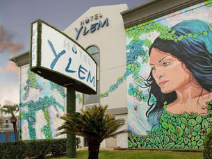 South Asian Art Is Already Here in Houston