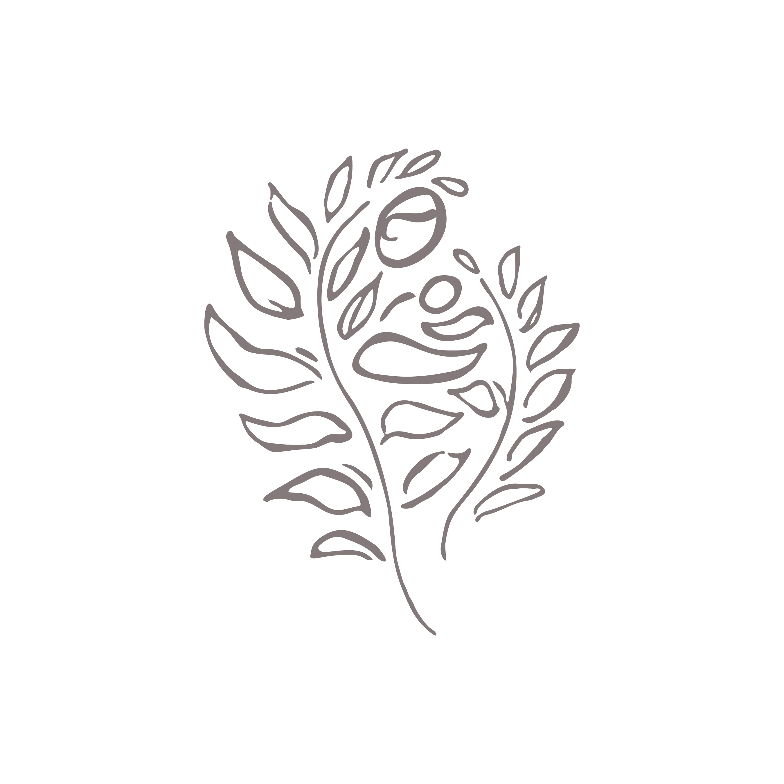 Born Midwifery Center For Birth