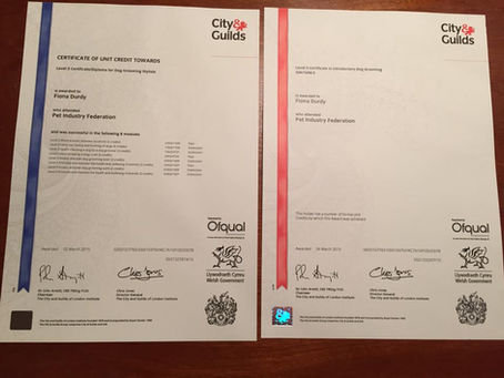 CITY & GUILDS LEVEL 3 CERTIFICATE