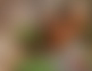 Cookies and Cream Hot Chocolate