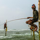 A Fisherman Out of Water: A Case Study of the Environmental and Social Considerations of Bangladesh’s Hilsa Shad Conservation Scheme