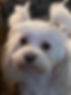 IMG_2291.jpeg