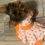 Thumbnail: Disney's Orange Bird Dress/Harness