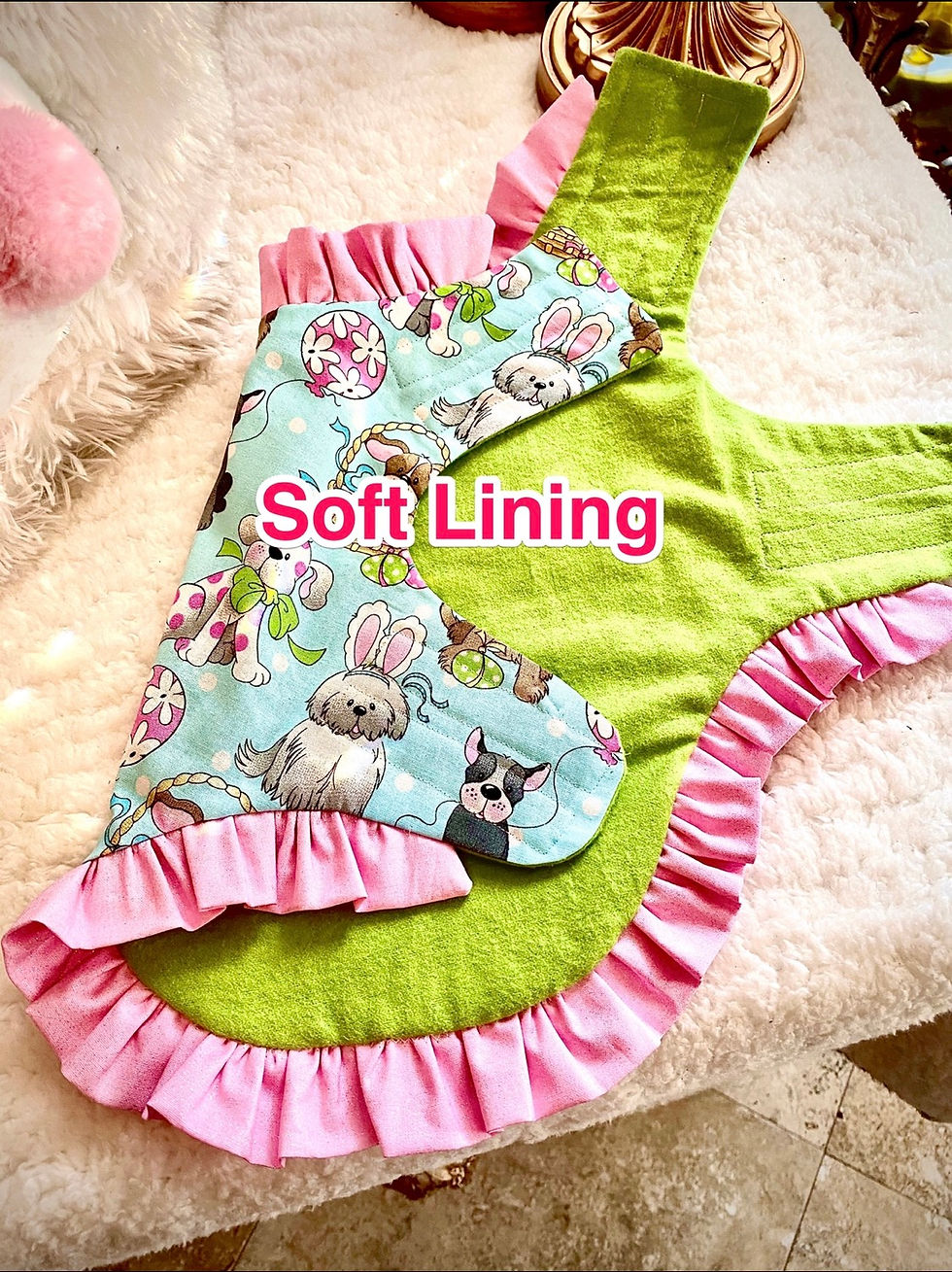 Thumbnail: Hoppy Bunny Easter  Dog/ Pet Coat Harness 