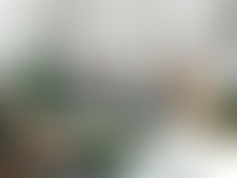 Erste Gartenpflege nach dem Winter -so wird Ihr Garten wieder zur Wohlfühloase