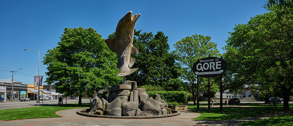 If you retire from the race early - just go fishing!