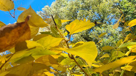 De l’automne à l’hiver