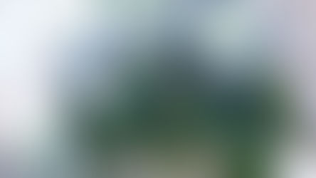 Springtime Signs in the South