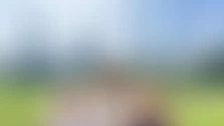 Summer Reflections: Art, Learning & Travel