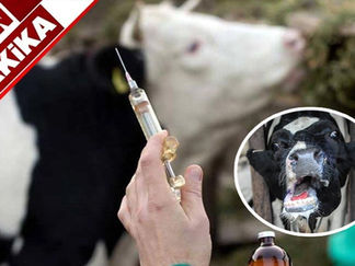 Sat 2 Serotipi Şap Hastalığına Karşı Basın Açıklaması