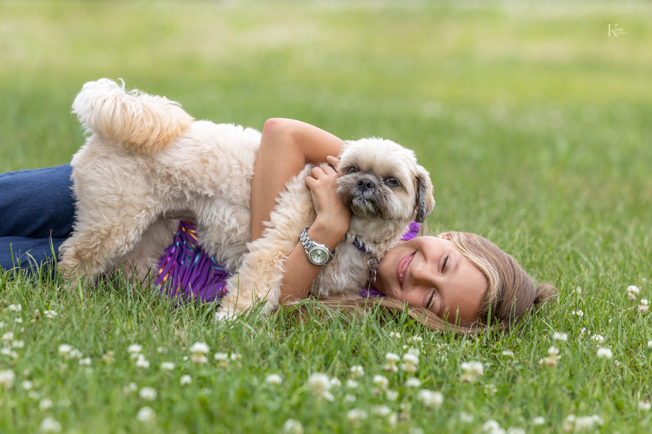 kathy laverdure photographe animalière- portrait chien