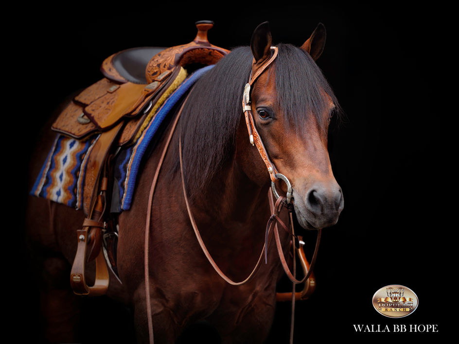 Photo en fond noir Kathy laverdure photographie