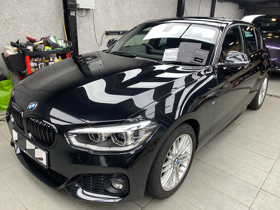 BMW F20 120i