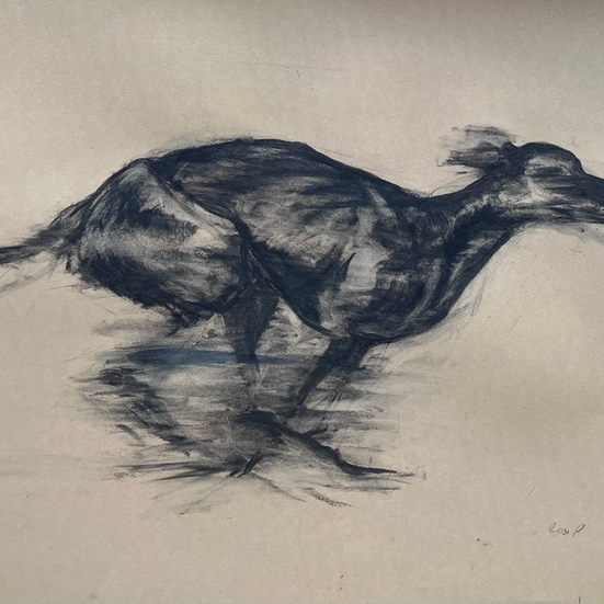 CHARCOAL