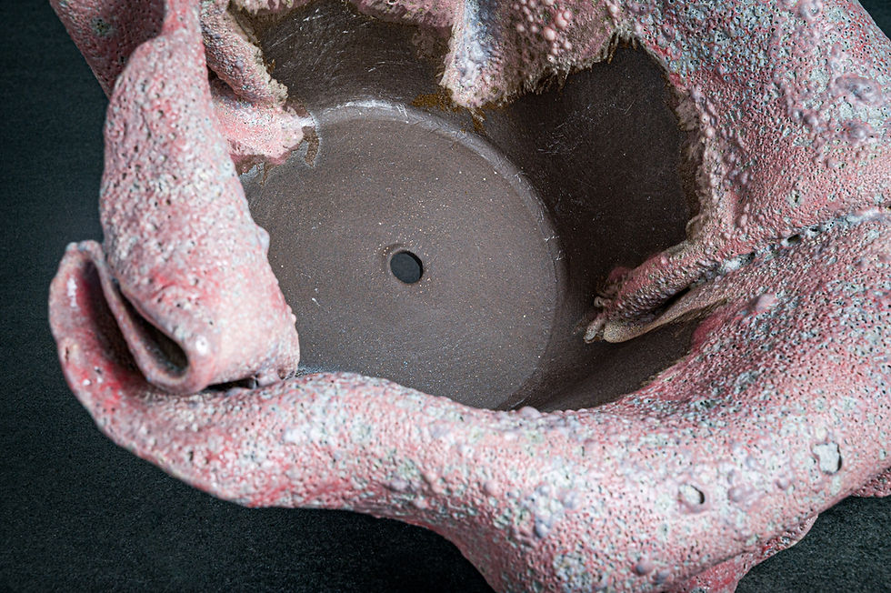 Thumbnail: Petal Fold