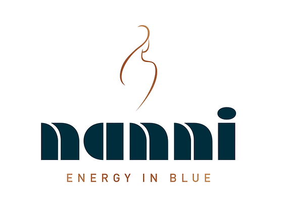 Nanni Diesel