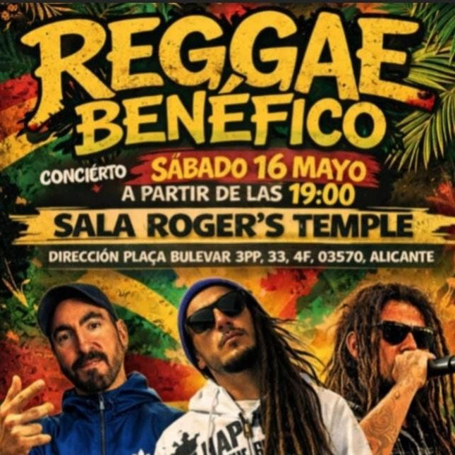 Reggae Benéfico en Roger’s Temple | Música, Comunidad y Ayuda Animal